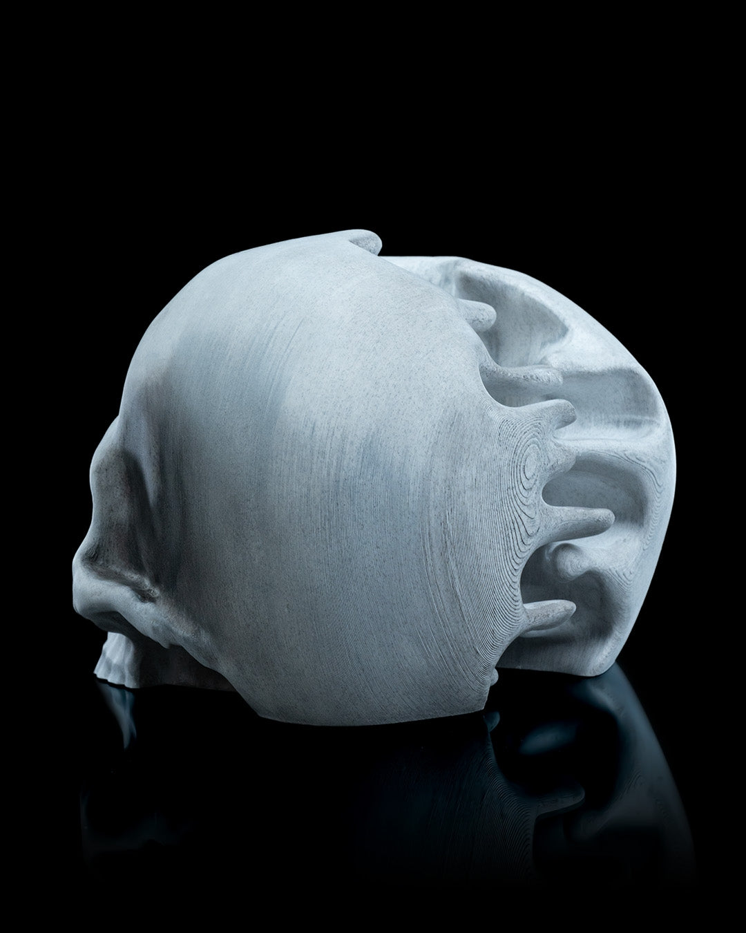 RIPped skull (Large)